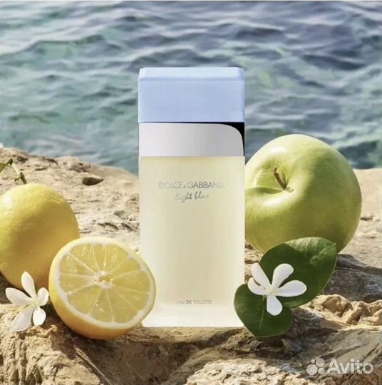 Dolce&Gabbana Light Blue