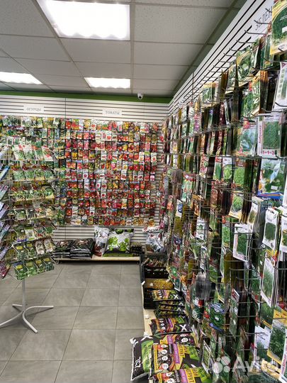 Семена огурцов