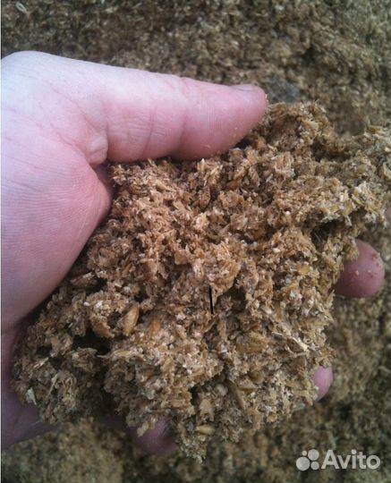 Пивная дробина