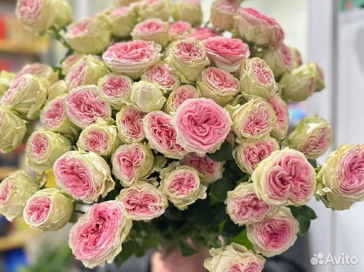 Розы кустовые,пионовидные