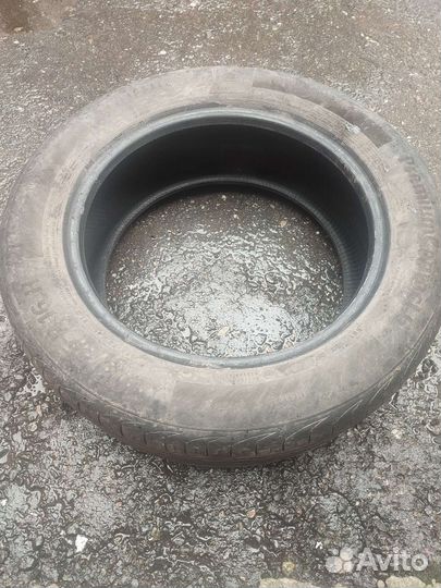 Continental ContiPremiumContact 6 205/55 R16