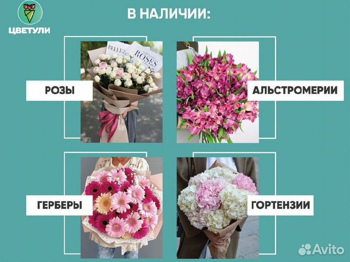 Альстромерия