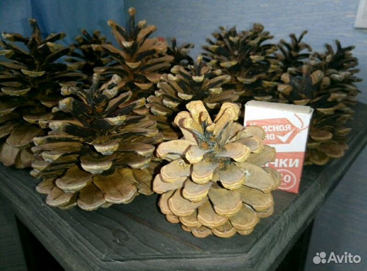 Домашний интерьер