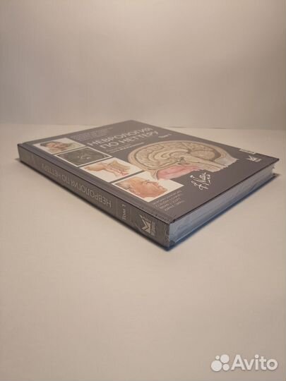 Неврология по Неттеру