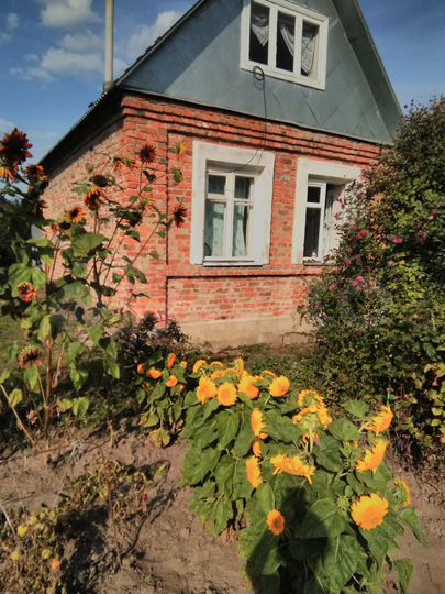 Дом 40 м² на участке 15 сот.