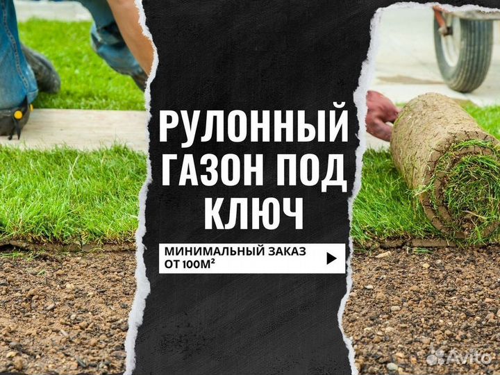 Продажа рулонного газона под ключ