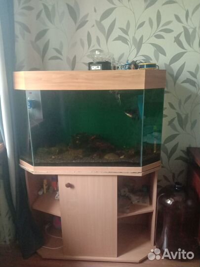 Аквариум с тумбой
