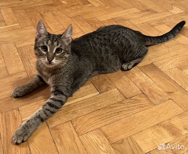 Ева хочет домой