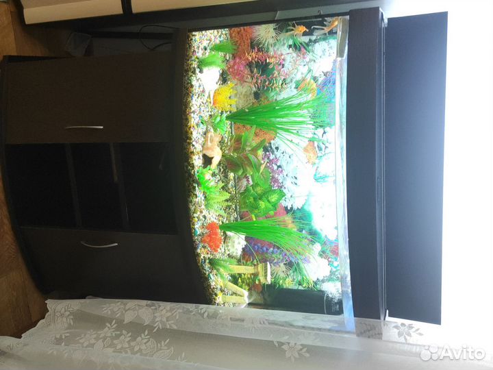 Аквариум bio-design 