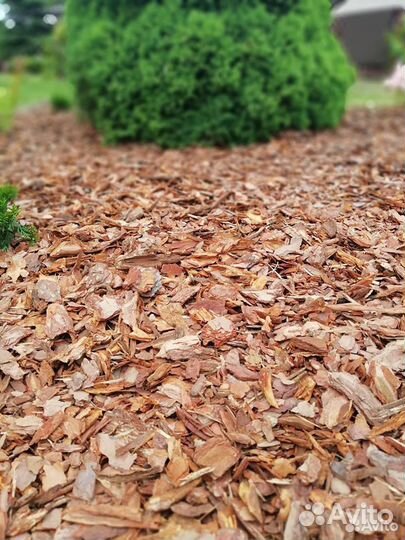 Кора сосновая в мешках