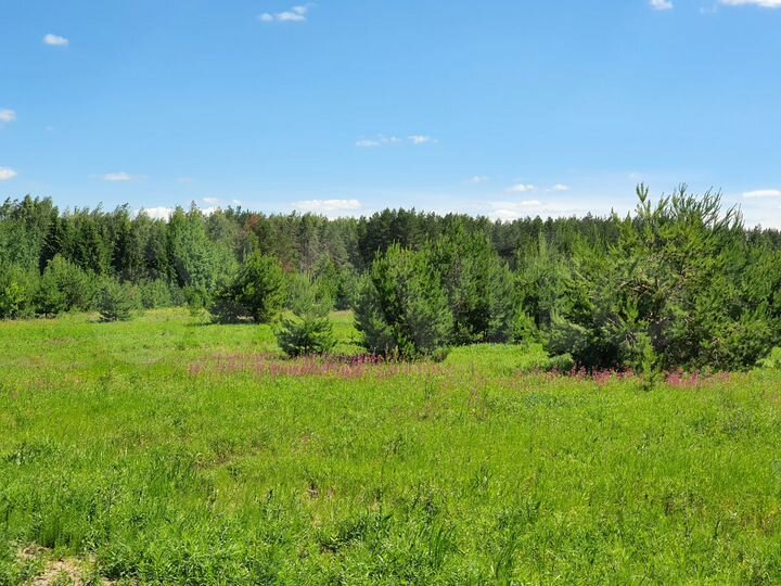 Участок 11,8 сот. (ИЖС)