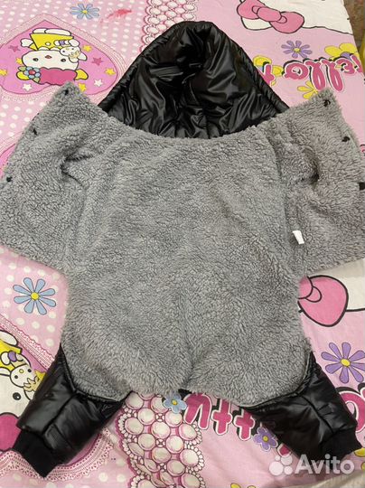 Одежда для собак