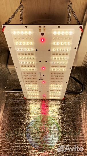 Гроубокс в100хш40хг40 70W LED Quantum FR + IR + Uг