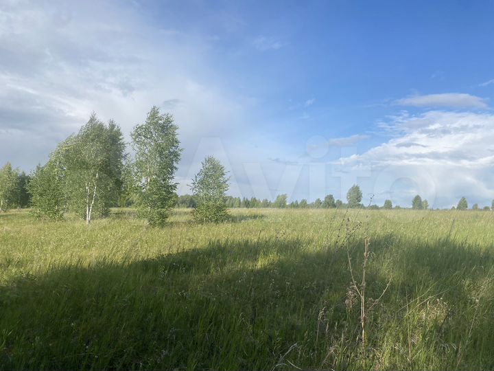 Участок 71,43 га (СНТ, ДНП)