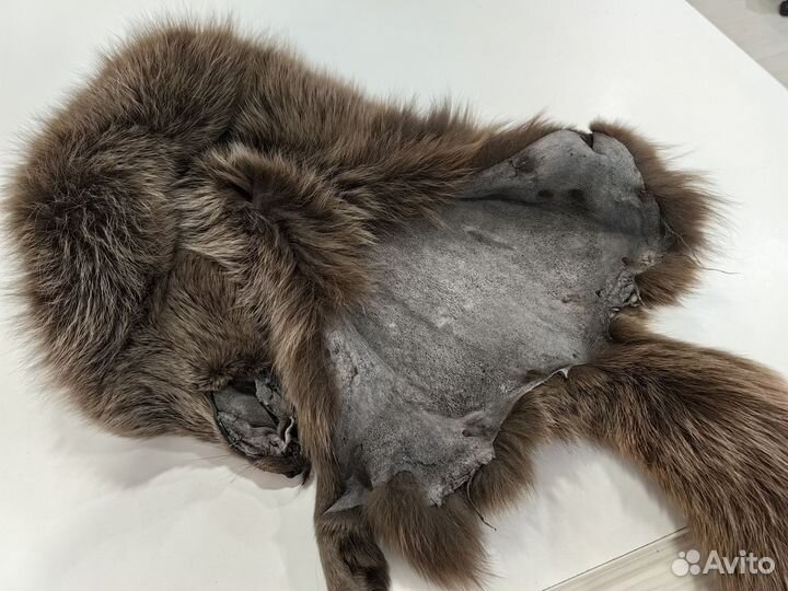 Шкура песца