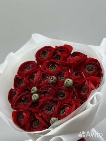 Ранункулюсы цветы