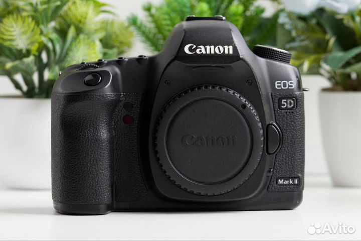 Canon 5D Mark II