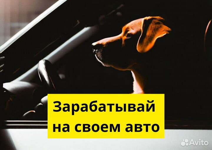 Ищем водителя на личном тс в Яндекс.Go