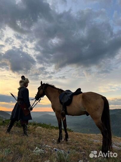 Конные прогулки