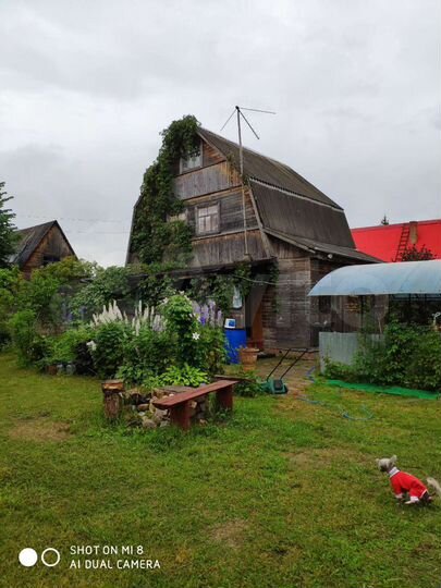 Дача 64 м² на участке 25 сот.