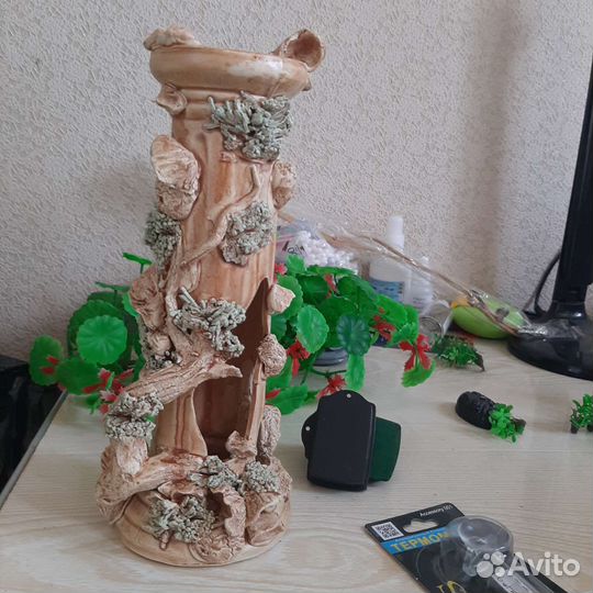 Аквариумистика