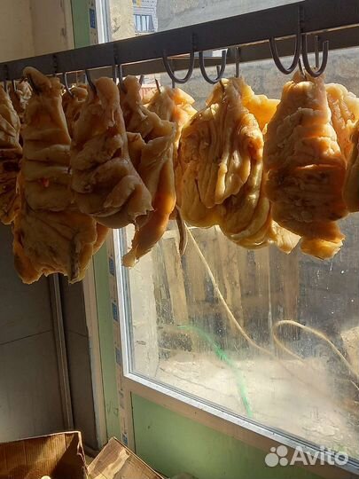 Баранина курдюк