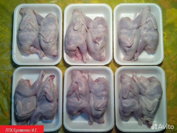 Мясо перепелов