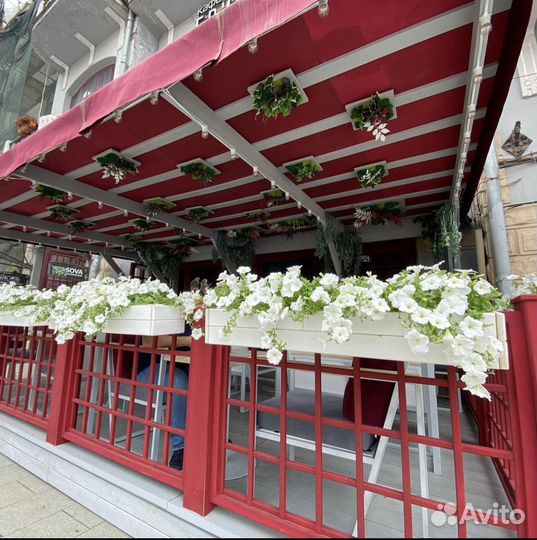 Студия декора, оформление витрин, мероприятий