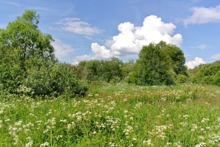 Участок 2,6 га (СНТ, ДНП)