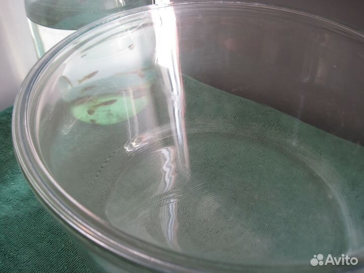 Аквариум цельнолитой круглый с крышкой. Стекло