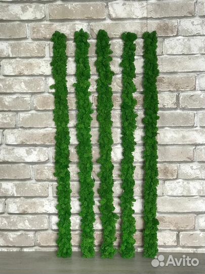 Рейки из стабилизированного мха ягеля