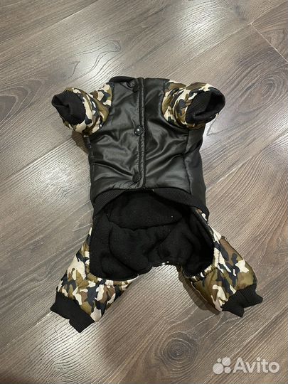 Одежда для собак