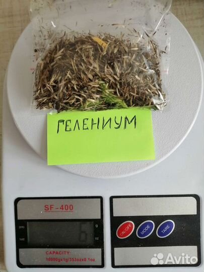 Гелениум