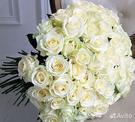 Длинные высокие розы 110 150 160 180 200 см