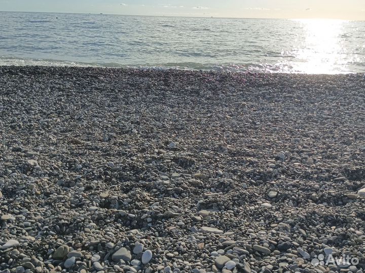 Галька черноморская