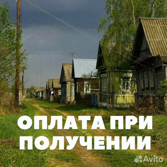 Мясо говядина