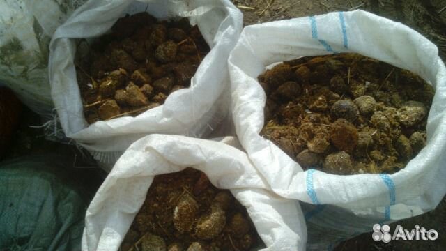 Конский навоз, перегной. Доставка