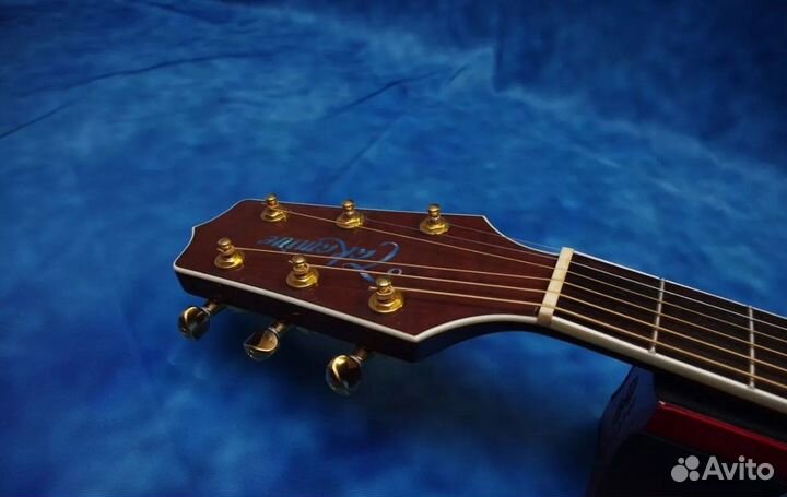 Электроакустика Takamine NPT-110. Japan. Кейс