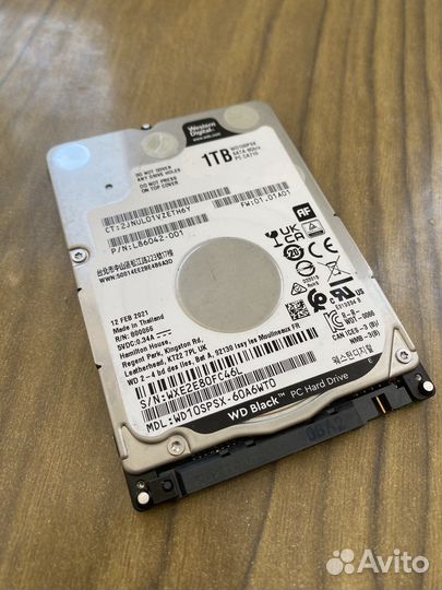 WD black / WD blue / Toshiba / Seagate