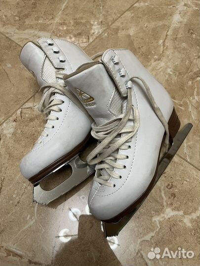 Фигурные коньки jackson artiste