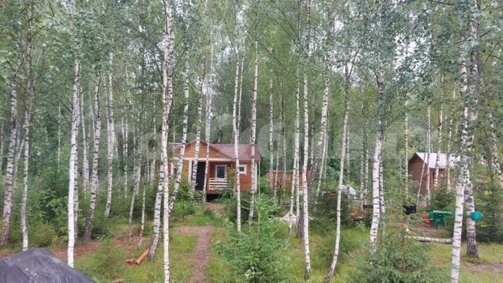Участок 18 сот. (СНТ, ДНП)