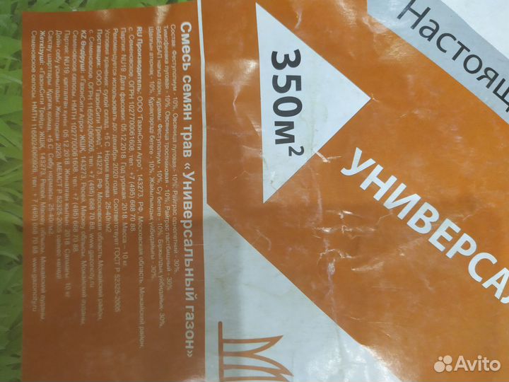 Семена газонной травы