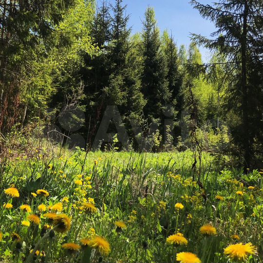 Участок 14,4 сот. (ИЖС)