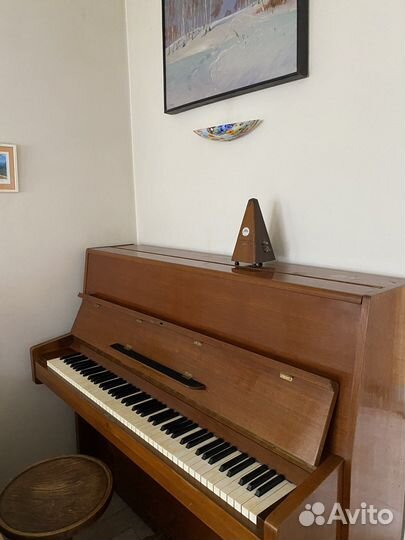 Пианино bluthner