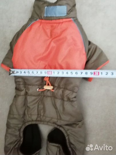 Комбинезоны для собаки мелких пород