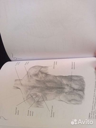 Альбом для скетчинга