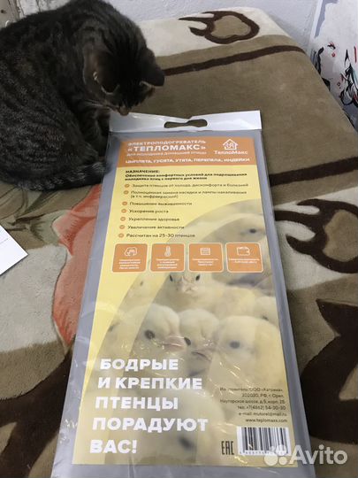 Грелка для птиц, подогреватель