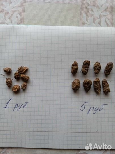 Чуфа, тигровый орех