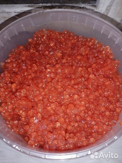 Ведро пластиковое