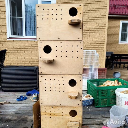 Гнездо для попугаев